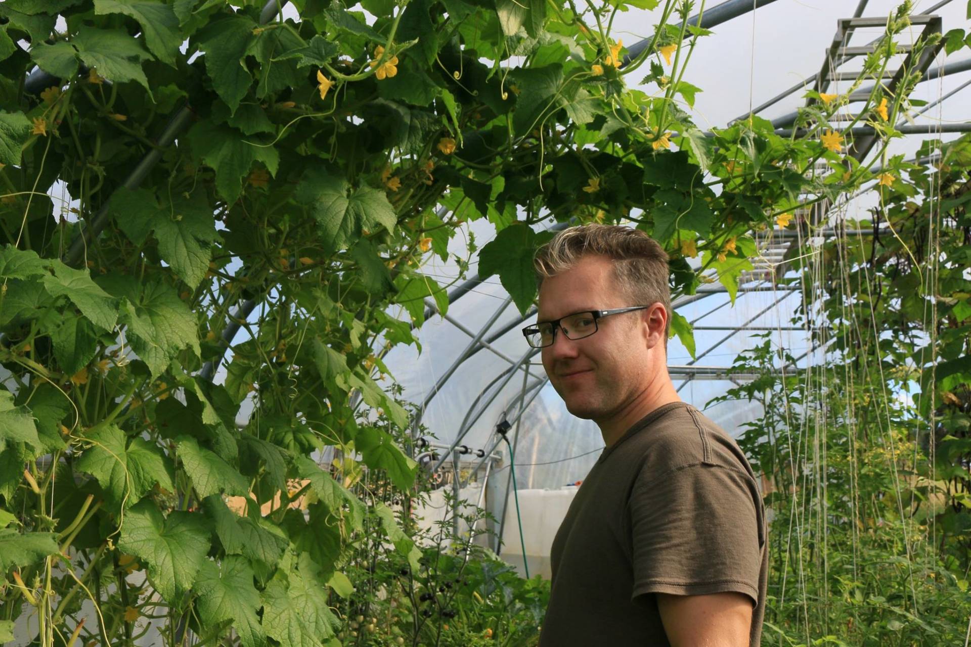 Frøets økologiske funksjon